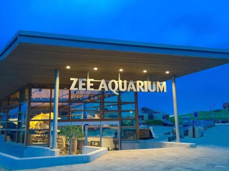 Wind - Modern Beach House Bergen aan Zee Εξωτερικό φωτογραφία